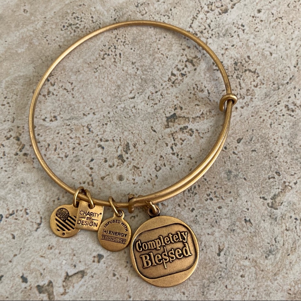 NWOT Alex and Ani Bracelet Bangle